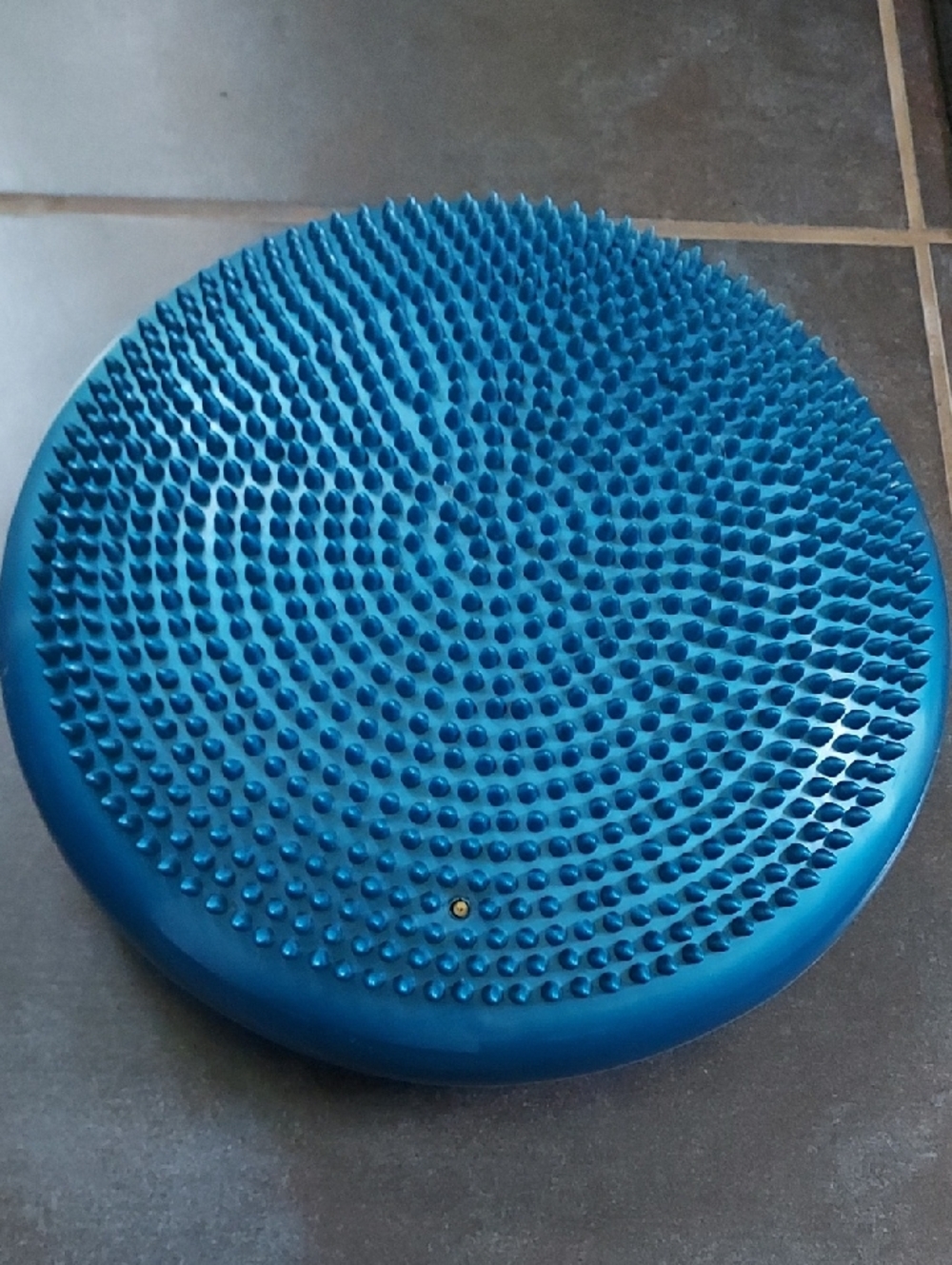 ALTUS Brand Balance Cushion - Picture 2 of 4